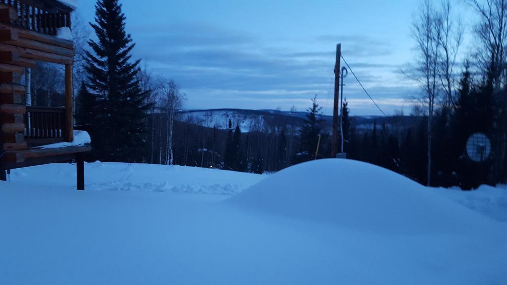 Wildmoon Home Fairbanks Extérieur photo