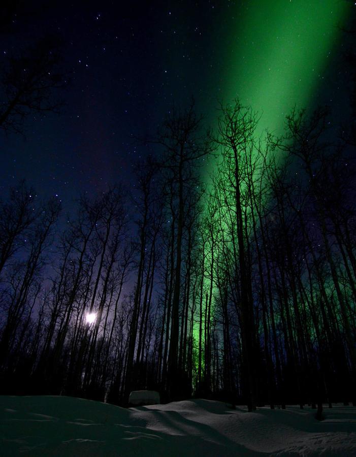Wildmoon Home Fairbanks Extérieur photo