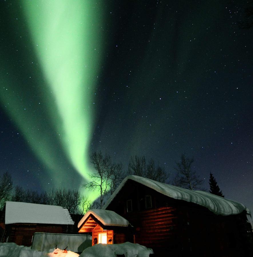 Wildmoon Home Fairbanks Extérieur photo